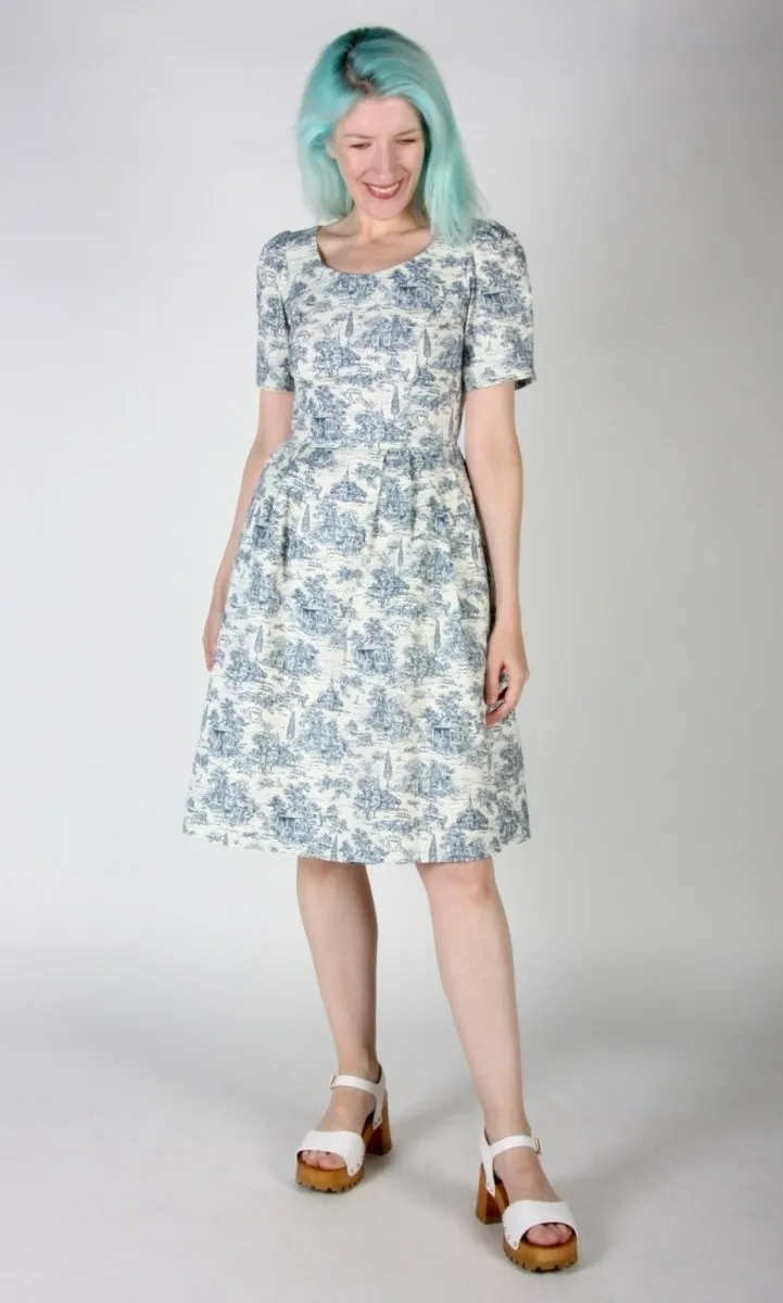 Birds of North America Winter Chippy Dress (Navy Village Toile)