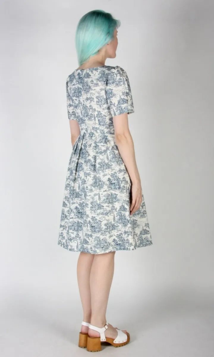 Birds of North America Winter Chippy Dress (Navy Village Toile)