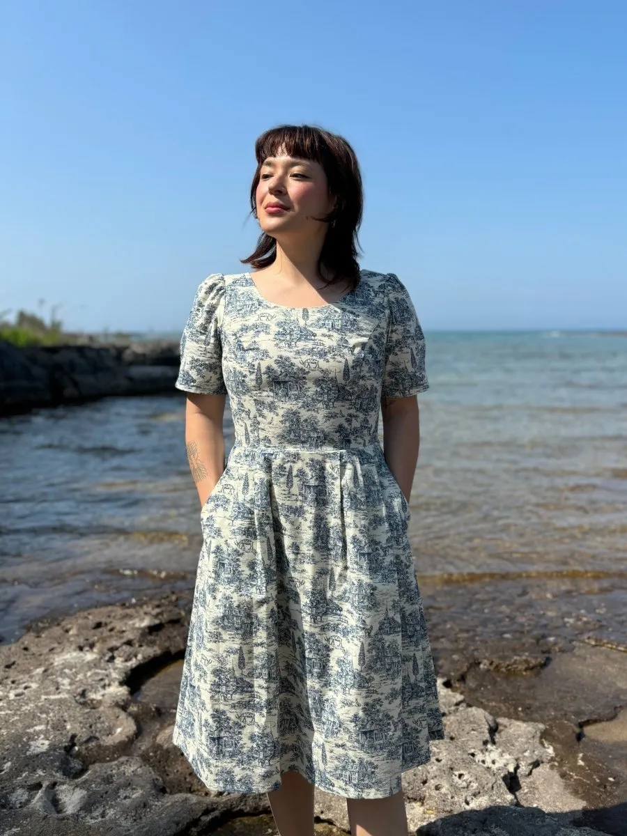 Birds of North America Winter Chippy Dress (Navy Village Toile)