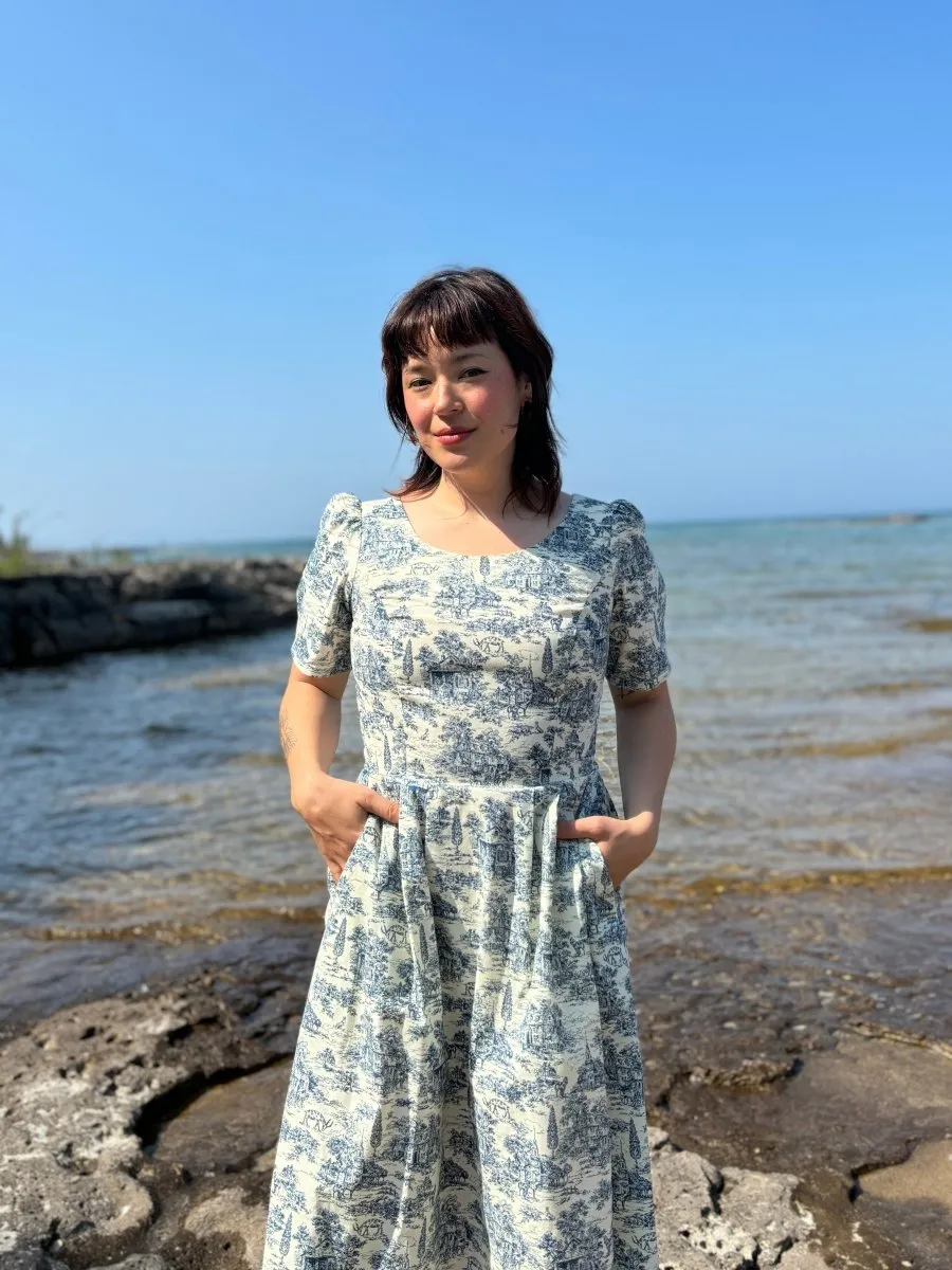 Birds of North America Winter Chippy Dress (Navy Village Toile)