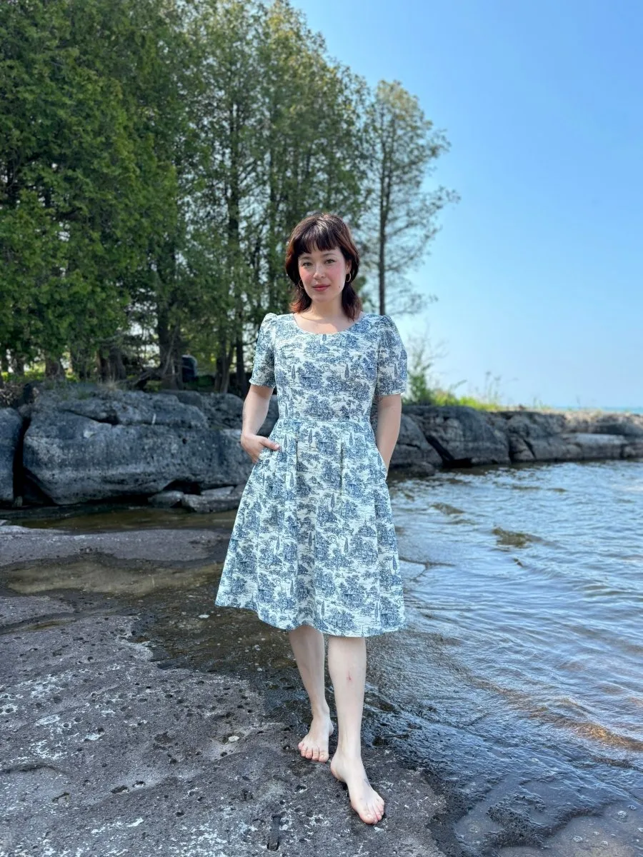 Birds of North America Winter Chippy Dress (Navy Village Toile)