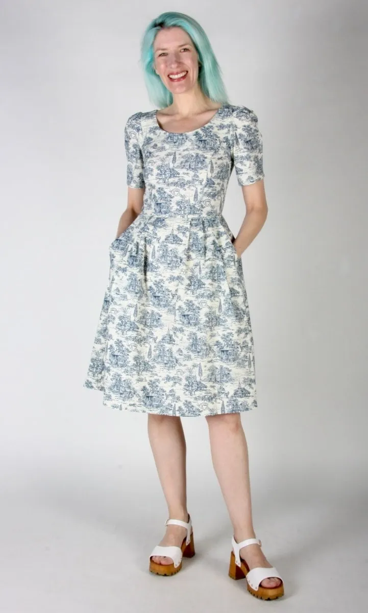 Birds of North America Winter Chippy Dress (Navy Village Toile)