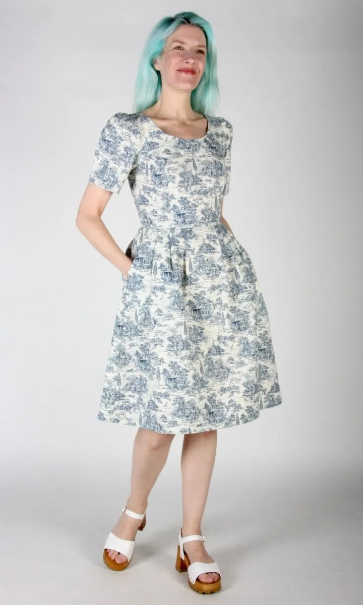 Birds of North America Winter Chippy Dress (Navy Village Toile)