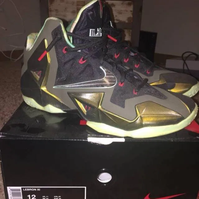 Nike lebron 11 - king's pride