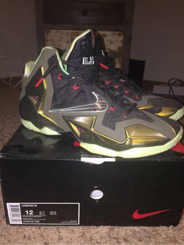 Nike lebron 11 - king's pride