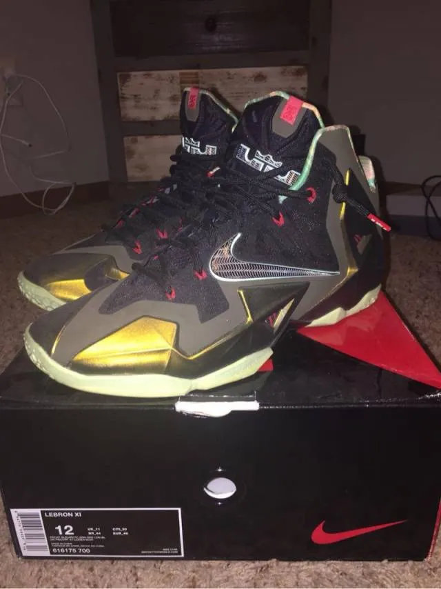 Nike lebron 11 - king's pride