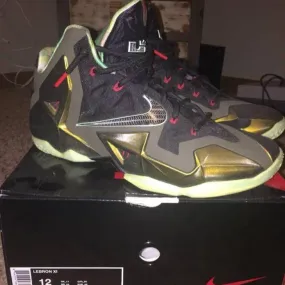 Nike lebron 11 - king's pride