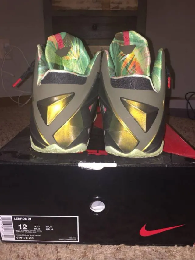 Nike lebron 11 - king's pride