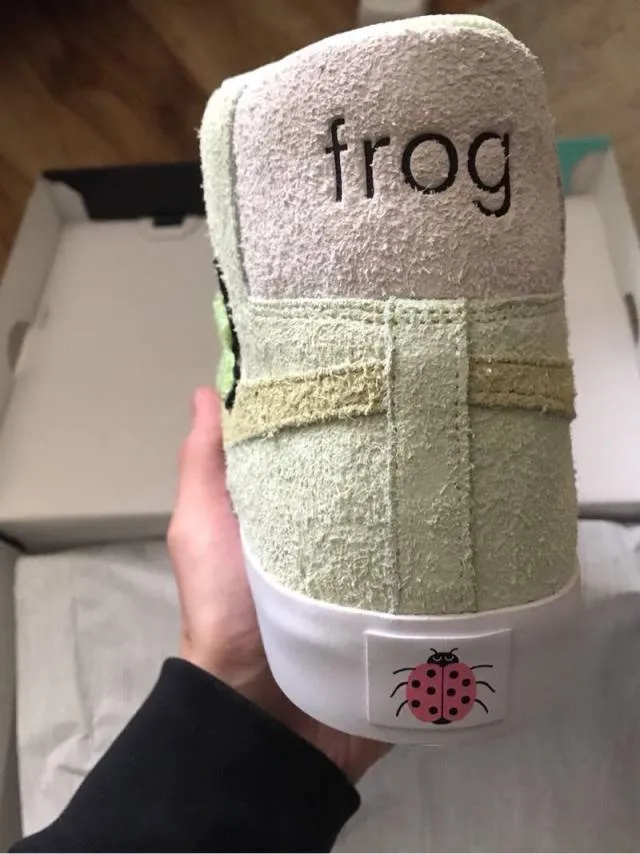 Nike sb x frog skateboarding